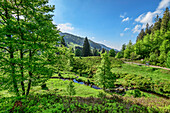 Stream at Klusen-moraine, Feldberg, Albsteig, Black Forest, Baden-Wuerttemberg, Germany