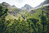 Latschenfeld mit Bergpanorama,E5, Alpenüberquerung, 2. Etappe, Lechtal, Holzgau, Tirol, Österreich,Kemptner Hütte zur Memminger Hütte