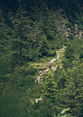 Bergsteiger im Wald, E5, Alpenüberquerung, 2. Etappe, Lechtal, Holzgau, Tirol, Österreich, Kemptner Hütte zur Memminger Hütte