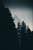 mountain peak behind trees, E5, Alpenüberquerung, 2nd stage, Lechtal, Kemptner Hütte  to Memminger Hütte, tyrol, austria, Alps