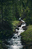 Lochbach fließt durch Wald,E5, Alpenüberquerung, 3. Etappe, Seescharte, Inntal, Tirol, Österreich, Memminger Hütte zur Unterloch Alm