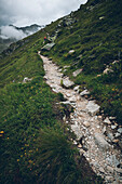 Wanderin on the ascent on the long distance hiking trai, E5, Alpenüberquerung, 4th stage, Skihütte Zams,Pitztal,Lacheralm, Wenns, Gletscherstube, Zams to  Braunschweiger Hütte, tyrol, austria, Alps