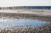 Piles on the beach, Wangerooge, East Frisia, Lower Saxony, Germany