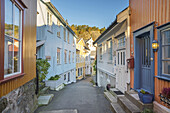 Coloured wodden houses in a narrow street of Kragerø, Telemark, Østlandet, Southern Norway, Norway, Scandinavia, Northern Europe, Europe