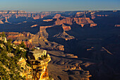 Grand Canyon, Arizona, USA