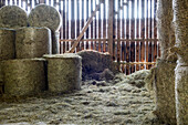 Barn with a shed of boards, loose hay and Round Bales