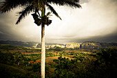 View, Valle de Vinales, UNESCO National Park,  Pinar del Rio, Cuba, Caribbean, Latin America, America