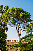 Stadtmauer, Verona, Venetien, Italien
