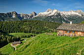 Several alpine huts with Birnhorn in Leogang Mountains, Kallbrunnalm, Berchtesgaden Alps, Salzburg, Austria