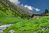 Man and woman hiking through alpine meadow with alpine hut and stream, Giro di Monviso, Monte Viso, Monviso, Cottian Alps, Piedmont, Italy