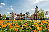 Castle and castle church, tulips in front, Mainau Island, Baden-Württemberg, Germany