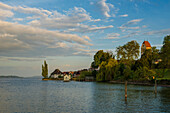 Bodman, Lake Constance, Landkreis Konstanz, Baden-Württemberg, Germany
