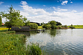 See im Frühling, Muttelsee, bei Tettnang, Bodenseeregion, Baden-Württemberg, Deutschland