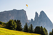 Gleitschirmflieger vor dem Schlern Gebirge, Compatsch, Seiser Alm, Südtirol, Italien