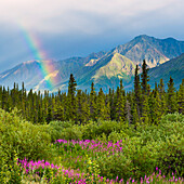 Regenbogen über den Wäldern nahe Kluane Lake, Yukon, Kanada