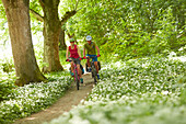 junge Frau und junger Mann Paar auf Fahrradtour in Waldstück mit Bärlauch, Kochel, Bayern, Deutschland