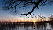 Winter landscape Sunset at the frozen lake in Germany at the blue hour