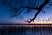 Winter landscape Sunset at the frozen lake in Germany at the blue hour