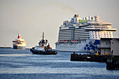 Cruiseship In the harbour, Halifax, Nova Scotia, Canada