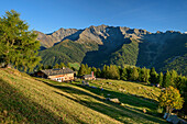Hut Unterholzer Huette with view to Durreck, hut Unterholzer Huette, Holzerboeden, valley of Ahrntal, Zillertal Alps, South Tyrol, Italy
