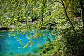 visitors enjoy the endless blue water of the „Blautopf“ in Blaubeuren, Alb Danube District, Swabian Alb, Baden-Wuerttemberg, Germany