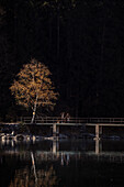 Spaziergänger und Fotografen an der Brücke Zwischen Untersee und Eibsee, beleuchteter herbstlicher Baum, Gemeinde Grainau, Garmisch-Partenkirchen, Bayern, Alpen, Deutschland
