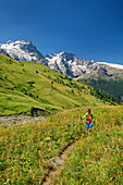 Frau wandert auf Weg durch Wiese mit Blick auf Meije im Gebiet Ecrins, Nationalpark Ecrins, Dauphine, Dauphiné, Hautes Alpes, Frankreich