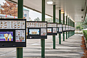 Reihung mit Drive-In Bestelltafeln bei einem Fast Food Restaurant, Houston, Texas, USA, Vereinigte Staaten von Amerika, Nordamerika