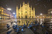 Pigeons in Piazza Duomo during a night snowfall. Milan, Lombardy, Northern Italy, Italy.