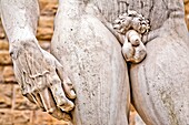Detail of the penis and hand, Copy of Michelangelo's David statue, Palazzo Vecchio, Old Palace, Piazza della Signoria square, Florence, Tuscany, Italy, Europe.