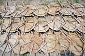 40 degree calices weather rural people need Hand held Fan. In Summer Bangladesh's weather become very hot above 40-45 degree calices. Once the peoples were depending on hand held fan. It is made from the leaves of Palm tree, Called TAAL PAKHA (Hand Fan). 