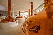 Rothaus brewery. Grafenhausen. Black Forest. Baden Wurttemberg. Germany