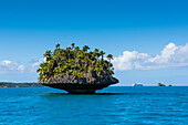 A tiny mushroom-shaped island covered with palm trees and bushes stands in turquoise waters,with the expedition cruise ship MS Bremen (Hapag-Lloyd Cruises) in the background, Fulaga Island, Lau Group, Fiji, South Pacific