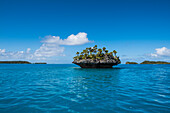 Eine kleine pilzförmige Insel mit Palmen und Büschen liegt im türkisfarbenen Wasser, Fulaga Island, Lau Group, Fidschi, Südpazifik