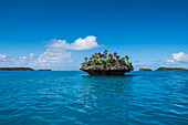 A tiny mushroom-shaped island covered with palm trees and bushes stands in turquoise waters, Fulaga Island, Lau Group, Fiji, South Pacific