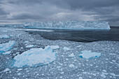 In der Bucht steht ein großer, gestrandeter Eisberg, umgeben von kleineren Eisstücken, Wilhelmina Bay, Antarktische Halbinsel, Antarktis