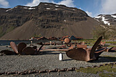 Rusting propellers, scrap metal and several buildings testify to a bloody history of whale-processing, overseen by King penguins (Aptenodytes patagonicus) and Antarctic fur seals (Arctocephalus gazella), Stromness, South Georgia Island, Antarktis