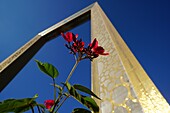 Dubai Frame, Plants, Flowers, Zaabel Park, Dubai, UAE, United Arab Emirates