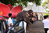 am Buddha-Tempel Aluthgama bei Bentota, Westküste, Sri Lanka