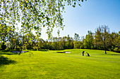 Männlicher Golfer auf dem Golfplatz Holm, nahe Hamburg, Norddeutschland, Deutschland