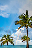 Atlantic, palm trees with rainbow, San Juan, Puerto Rico, Caribbean, USA