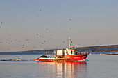 Fischerboot vor Krk auf der Insel Krk, Kvarner Bucht, Primorje-Gorski kotar, Nordkroatien, Kroatien, Südeuropa, Europa