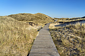 Bohlenweg durch die Dünen auf der Insel Amrum, Norddorf, Nordfriesische Inseln, Schleswig-Holstein, Norddeutschland, Deutschland, Europa