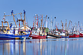 Krabbenkutter im Hafen von Büsum, Dithmarschen, Schleswig-Holstein, Norddeutschland, Deutschland, Europa