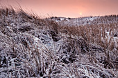 Sonnenaufgang hinter Dünen im Schnee, Winter, Langeoog, Nordsee, Ostfriesische Inseln, Ostfriesland, Niedersachsen, Deutschland, Europa