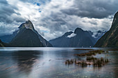 Milford Sound an einem bewölkten Sommertag, Fiordland NP, Südinsel, Neuseeland