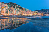 Colourful houses framed with christmas lights of the picturesque village of Camogli , Gulf of Paradise, Portofino National Park, Genoa province, Liguria, Italy