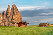 Alpe di Siusi/Seiser Alm, Dolomites, South Tyrol, Italy. Sunrise on the Alpe di Siusi with the peaks of Santner and Euringer