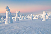 Typische Eisformationen im Nationalpark Riisitunturi, Posio, Lappland, Finnland, Europa