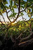 Sonnenaufgang im hookipa beack, Maui-Insel, Hawaii, USA